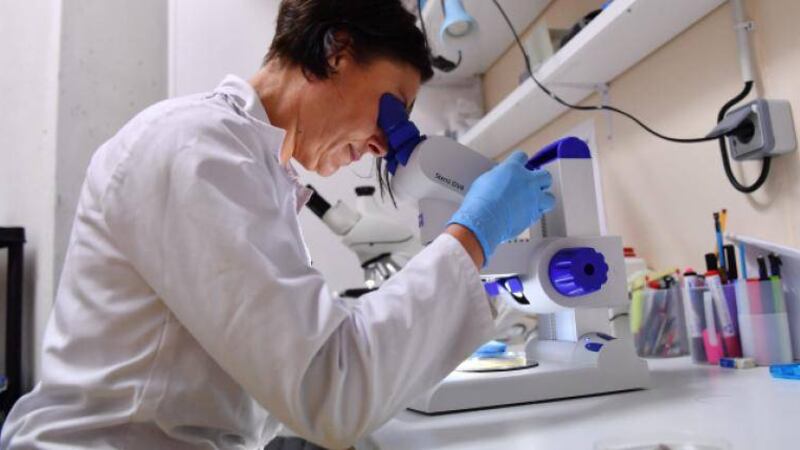 Países que buscan la cura del coronavirus además de China