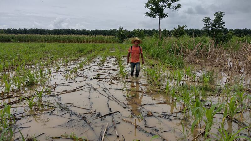 Se esperan más lluvias por segunda fase de temporada