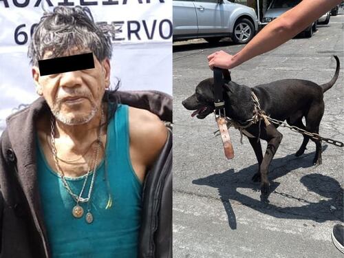 Atrapan a sujeto que golpeó al perrito “lomito” con un palo en la colonia Romero Rubio