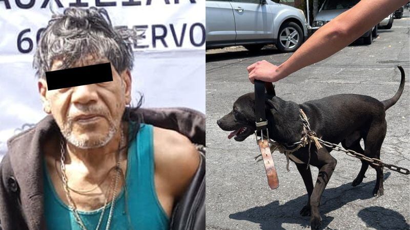 Maltrato animal: hombre golpea a perro con palo de escoba en colonia Romero Rubio