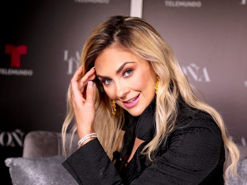 Aracely Arámbula deja ver sus enormes atributos en lencería de encaje