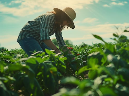 La nueva tecnología agrícola para combatir plagas sin necesidad de pesticidas