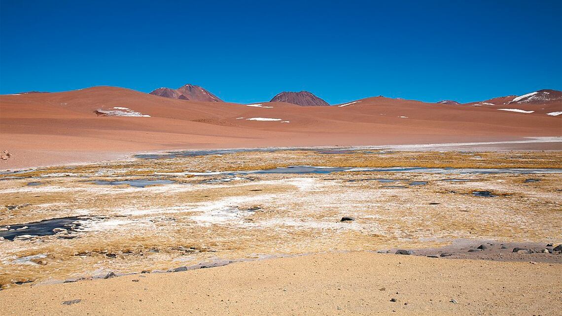 Salares