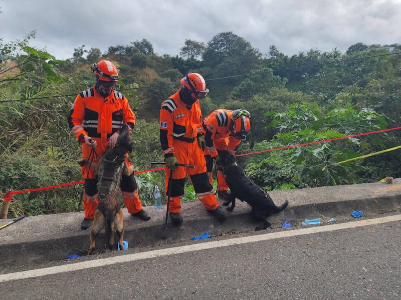 Localizan cuatro cadáveres en zona 25. (Foto: Bomberos Voluntarios)