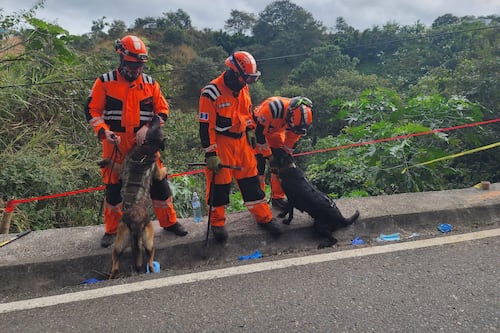 Aumenta el número de cadáveres localizados en zona 25, esta es la cifra que llevan las autoridades