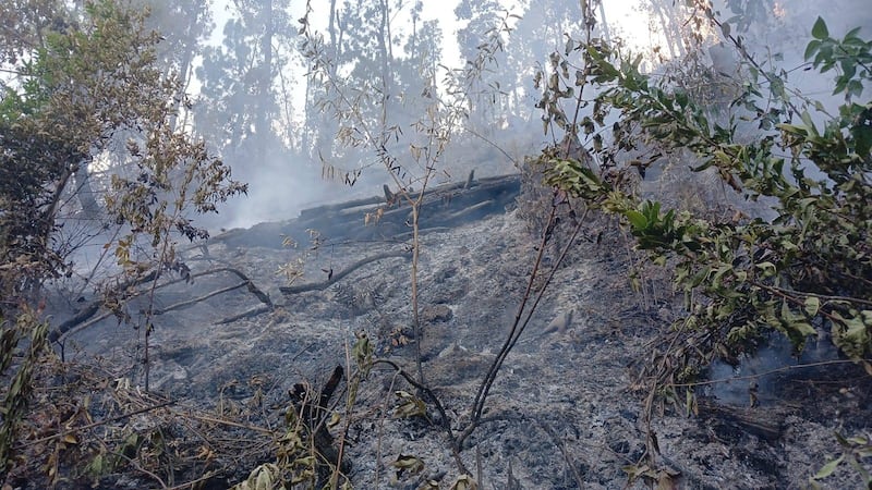 Incendio forestal en Chajul.
