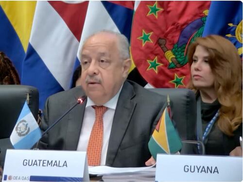 Guatemala agradece cooperación de los estados que integran la OEA