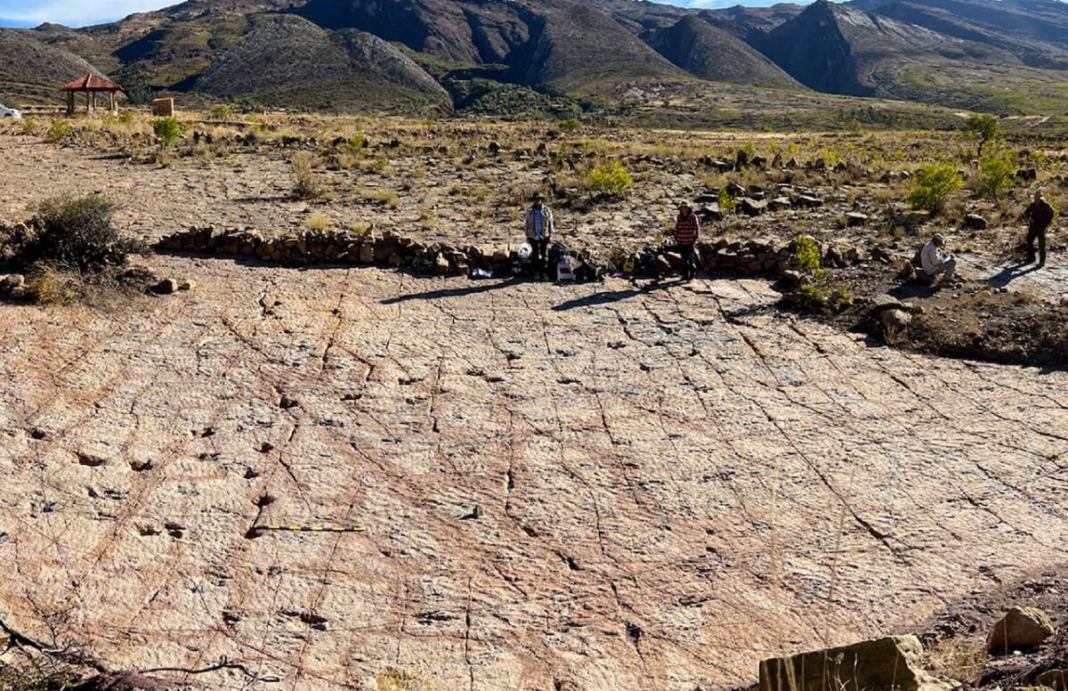 Descubren el yacimiento de huellas de dinosaurios más extenso del mundo en Bolivia