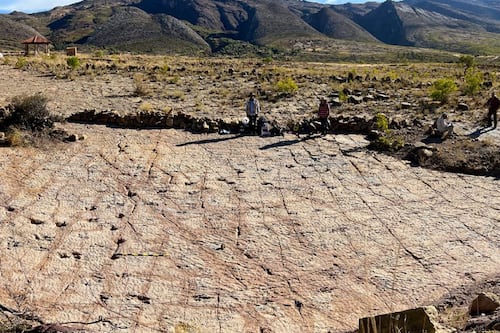 Descubren el mayor yacimiento de huellas de dinosaurios del mundo