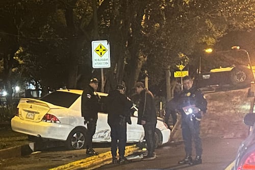 Vehículo se empotra en arriate de Las Américas la madrugada de este miércoles