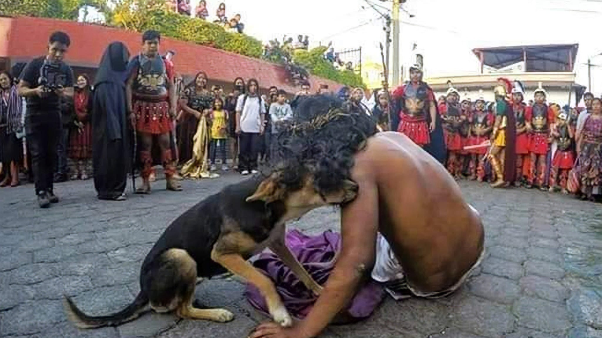 Perrito consuela a "Jesús" durante una dramatización en Sumpango, Sacatepéquez
