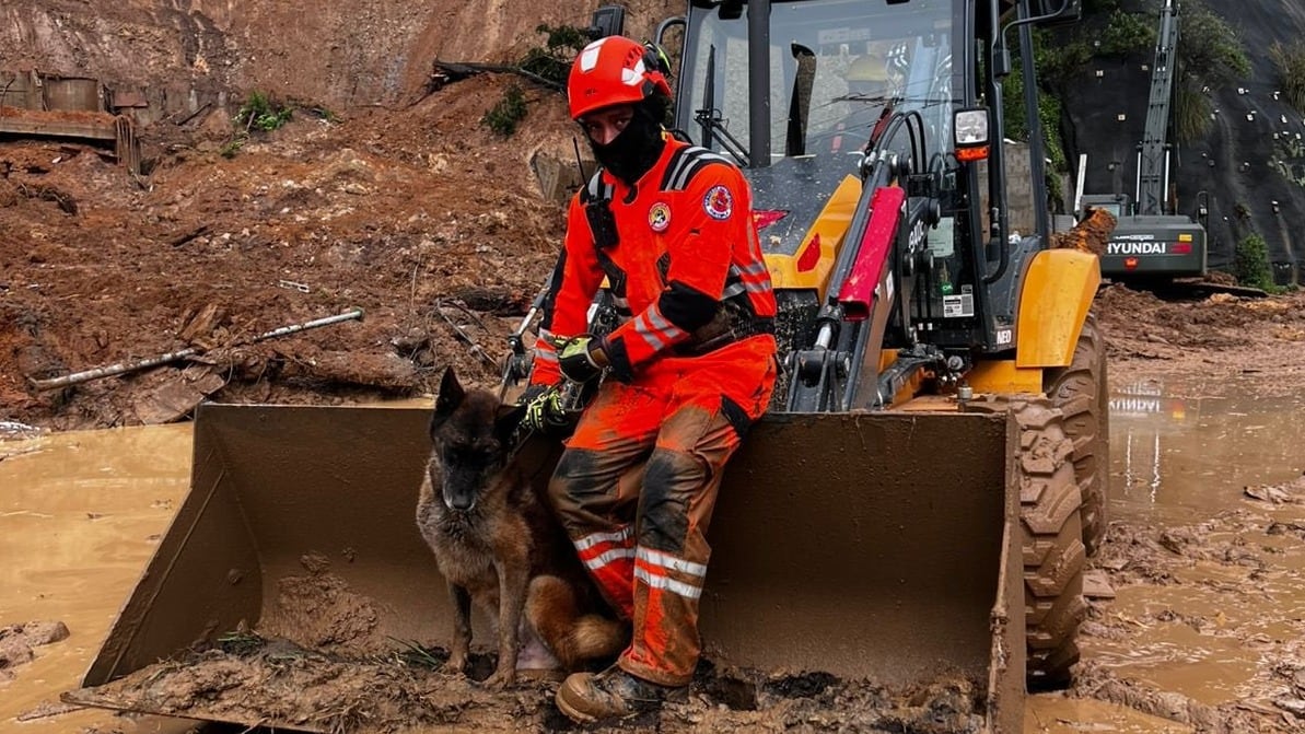 "Roger", un héroe de cuatro patas. Foto: RRSS