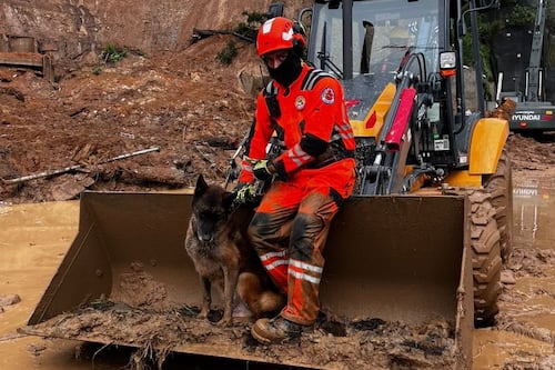 Muere “Roger”, el perrito rescatista que durante 11 años sirvió como héroe de los Bomberos Voluntarios