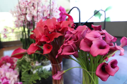 Día de la Madre eleva hasta 10% las exportaciones de flores, según AGEXPORT