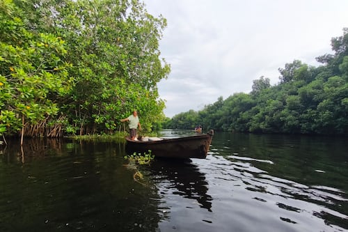 Guatemala ya tiene ‘Día del Pescador’ y se celebrará en junio