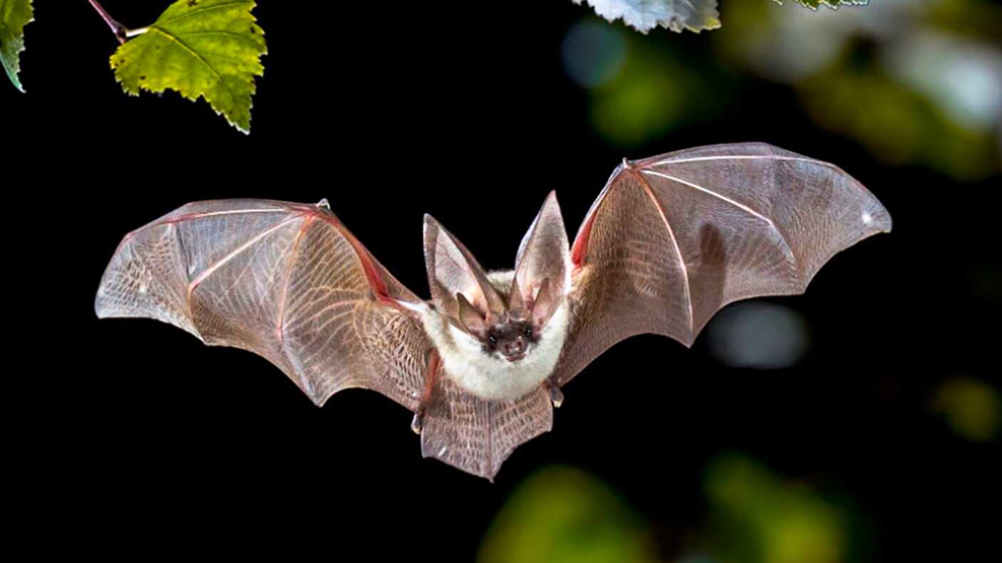 Una noche llena de aventura.