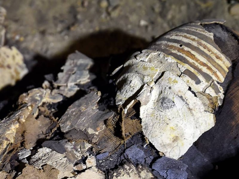 VIDEO. Un sarcófago egipcio de miles de años es abierto en transmisión de TV en vivo