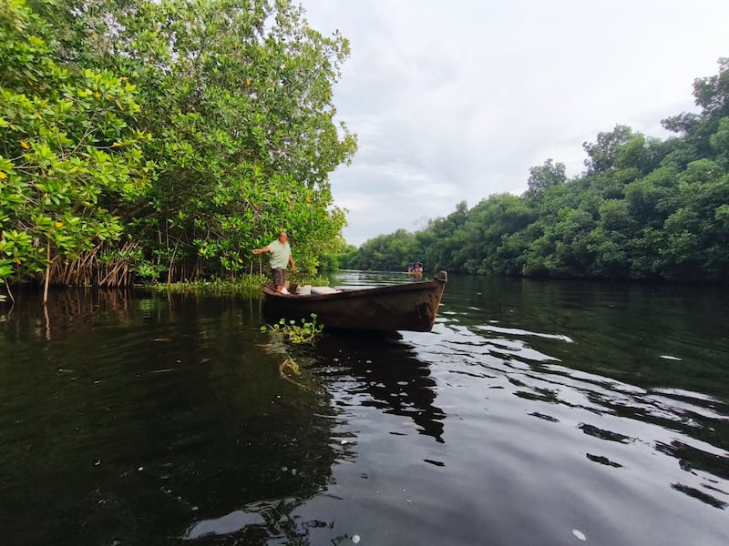 Navegar en el canal de Chiquimulilla, entre los manglares. Foto: Kenneth Monzón