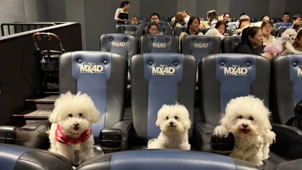 (Foto: Redes sociales)