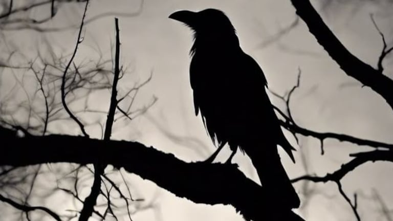 Desmentimos los mitos más comunes sobre estas criaturas oscuras