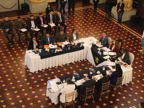 Vicepresidencia busca titular y adjunto de la Senabed
