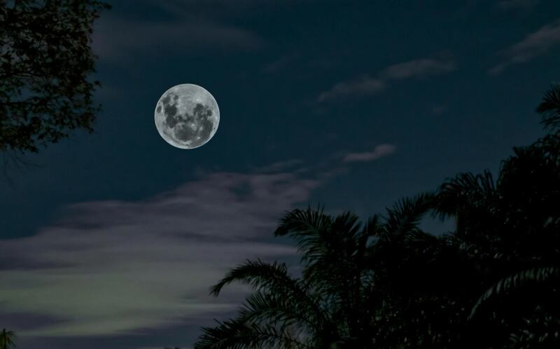 Los científicos están estudiando el fenómeno lunar