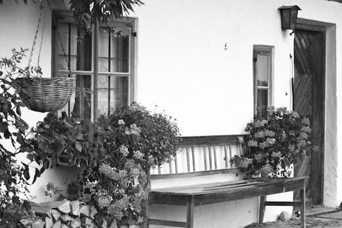 Hombre habría muerto “devorado” por un coyote en el patio de su casa en Mixco