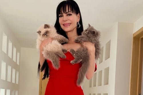 “Soy la tutora de mi vida”: la reacción de Maribel Guardia tras resolución judicial