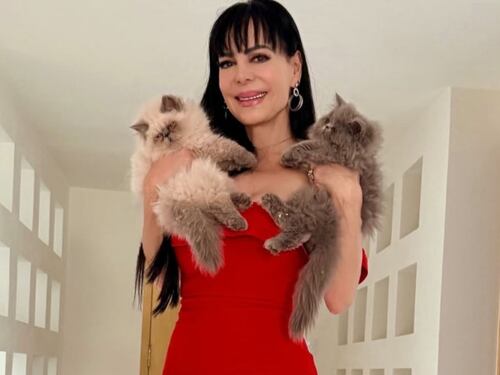 “Soy la tutora de mi vida”: la reacción de Maribel Guardia tras resolución judicial