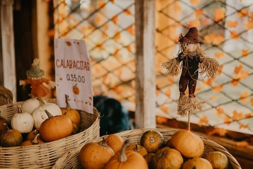 Calabazas, sustos y diversión: vuelve el October Pumpkin Patch