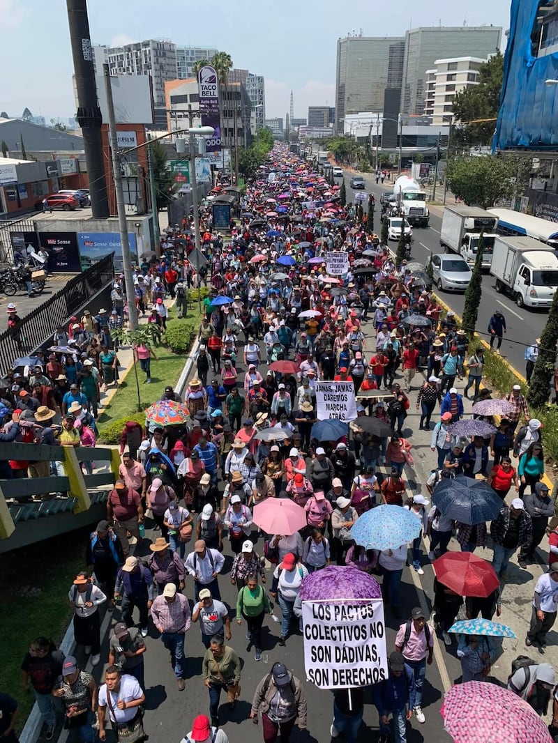 El  Sindicato de Trabajadores de la Educación, anunció que prepara la segunda fase de movilizaciones 2025. Foto: STEG.