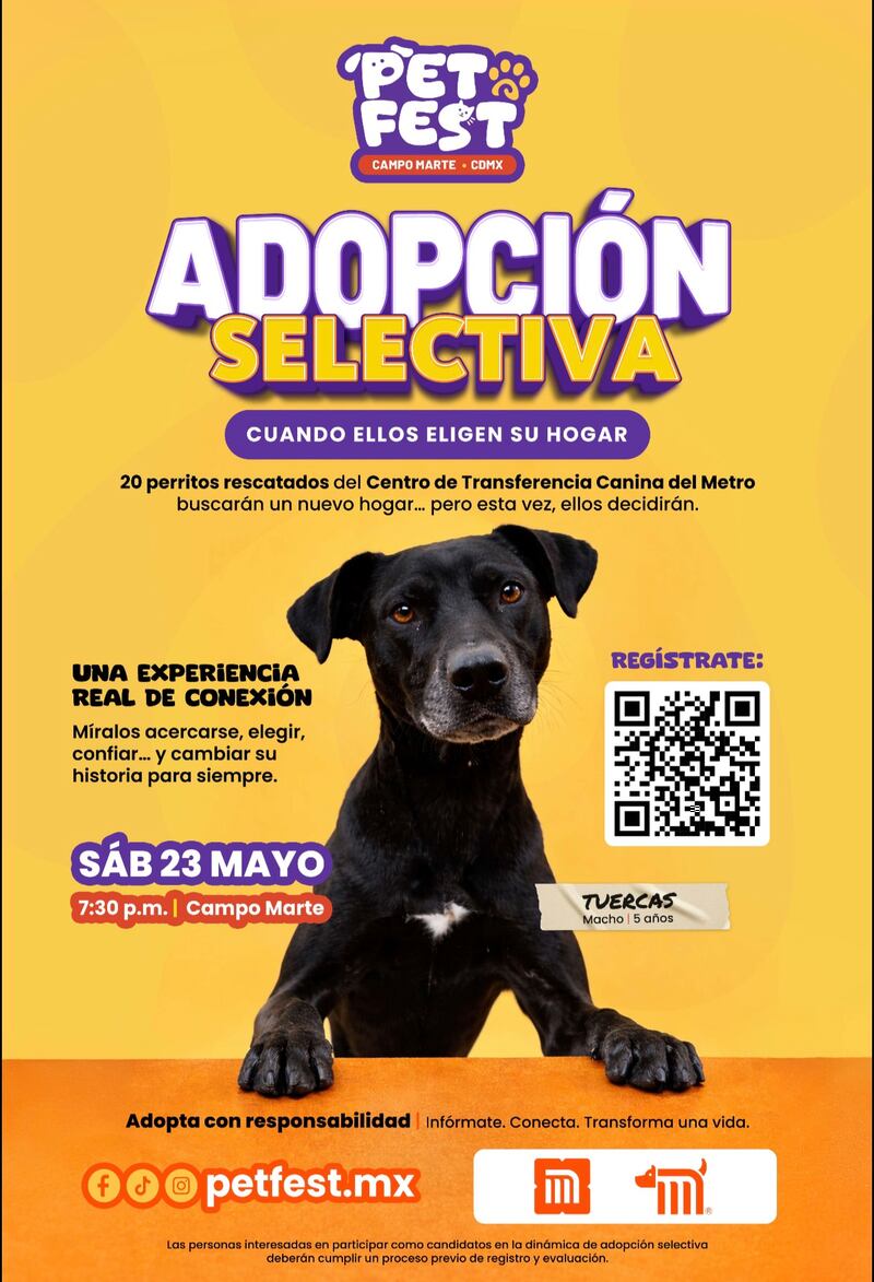 El Centro de Transferencia Canina (CTC) del Sistema de Transporte Colectivo (STC) participará en PetFest 2026 con iniciativa inédita que busca transformar la adopción tradicional en el país. Foto: PetFest 2026.