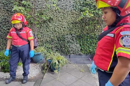 Hombre fallece tras caer de seis metros de altura de edificio de zona 9