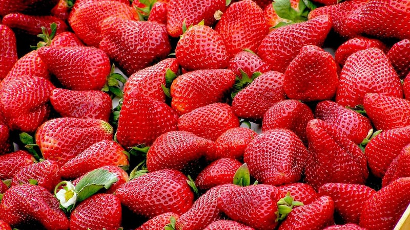 Estas son las mejores frutas para la hemoglobina