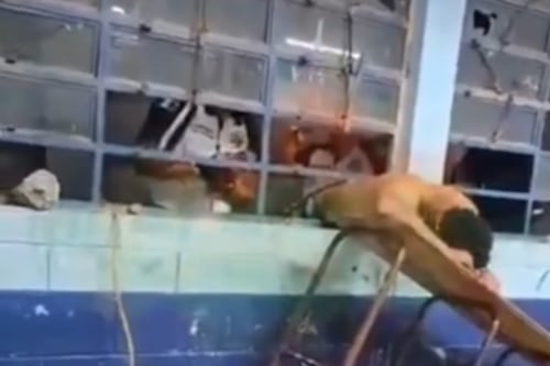Ladrón queda atrapado en la ventana de un centro educativo