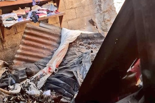 Vaca cae sobre techo de vivienda y provoca susto a familia en Chiquimula