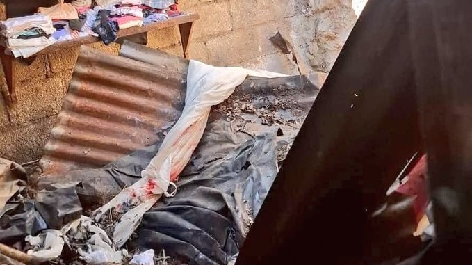 Vaca cae sobre casa al intentar escapar. Foto: RRSS