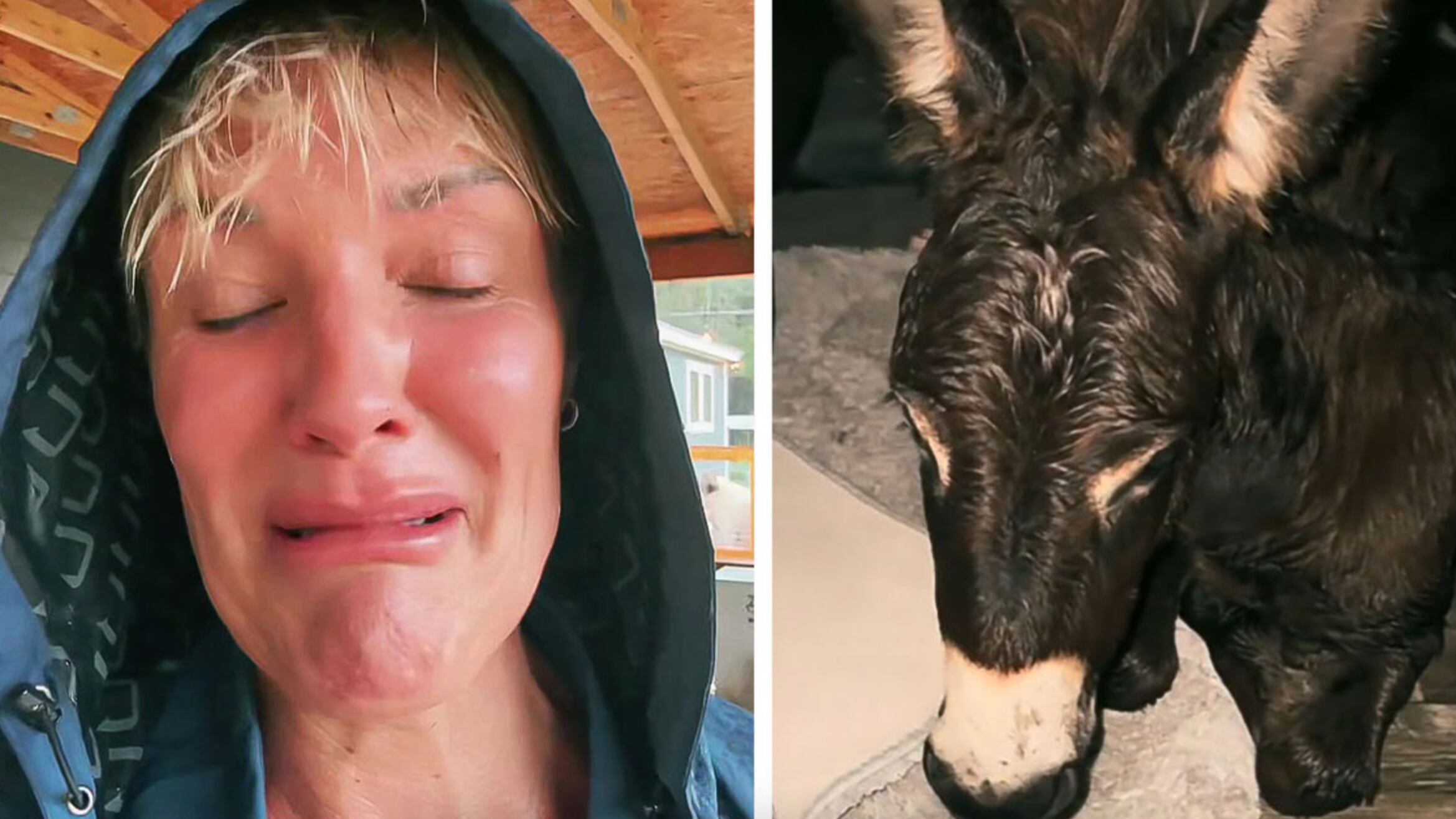 Una situación desgarradora