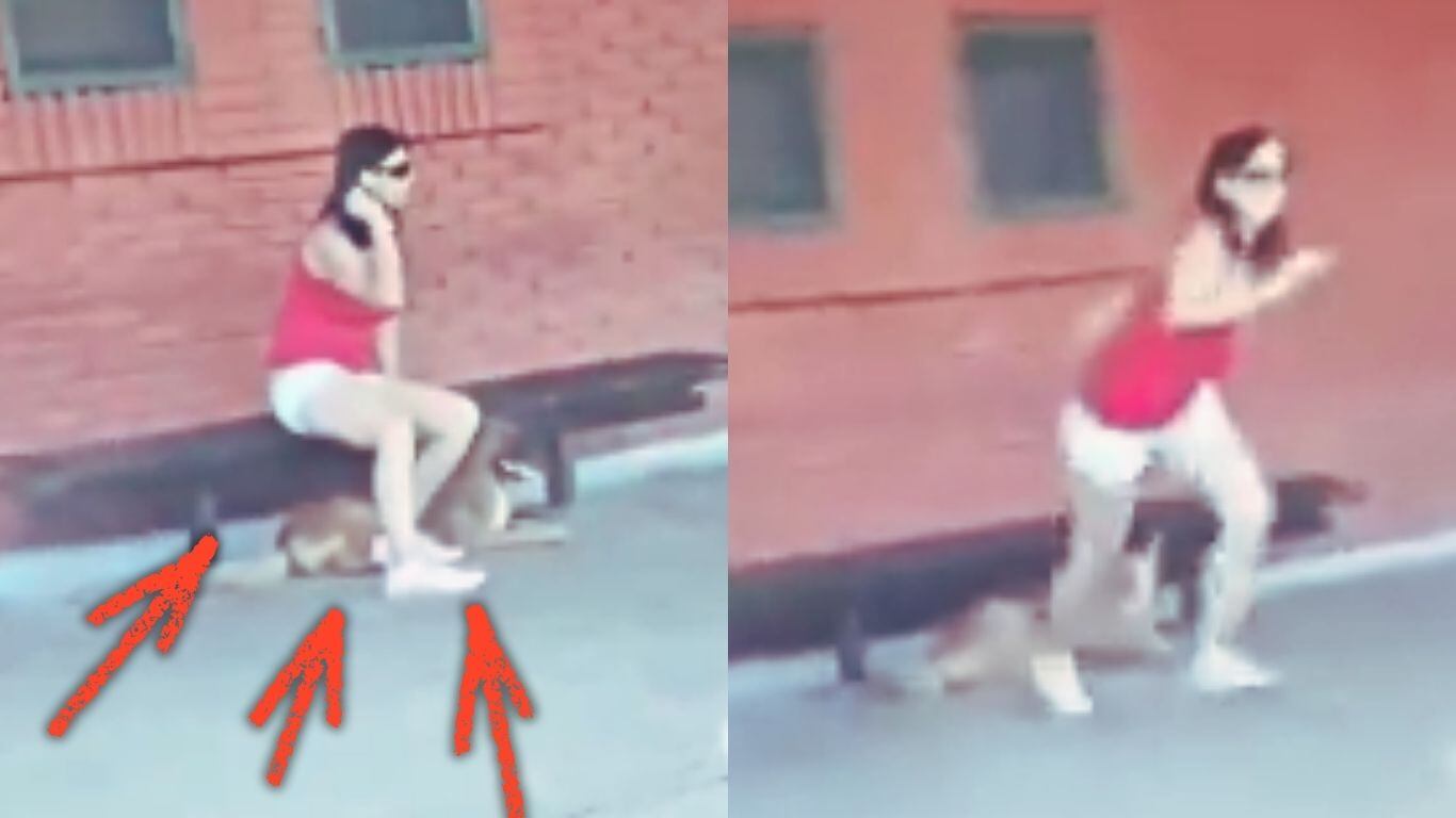 Mujer abandona a su perrito