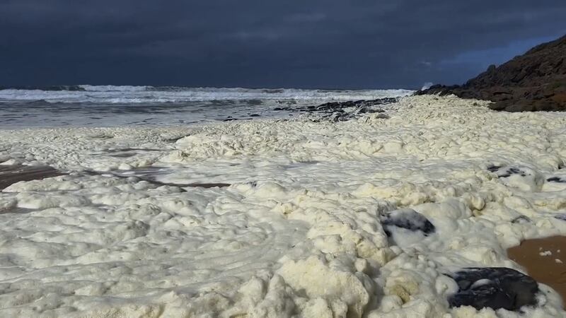 Misteriosa espuma en Australia enferma a más de 100 surfistas