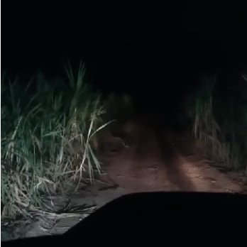 Impactante video de la "Llorona" aterroriza a usuario en Guatemala