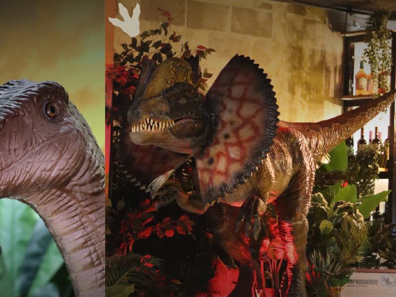 ¡Comiendo entre gigantes! El restaurante con temática de dinosaurios situado en Guatemala