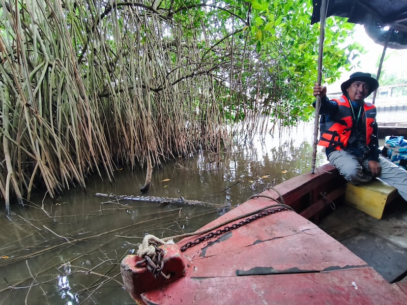 El Inab recorre el lugar en donde crece el mangle. Foto: Kenneth Monzón