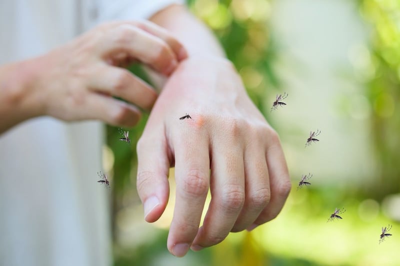 ¡Proteger a tu familia está en tus manos!
Durante la Semana de Acción contra los Mosquitos