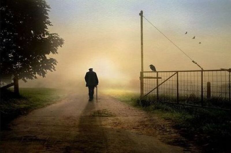A veces, lo que necesitas está a unos pasos de distancia.