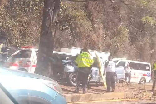 Conductor muere tras sufrir paro cardiorrespiratorio y carro queda en un arriate en la Interamericana