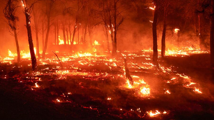 Han cobrado la vida de al menos una persona. (Foto: Redes sociales)