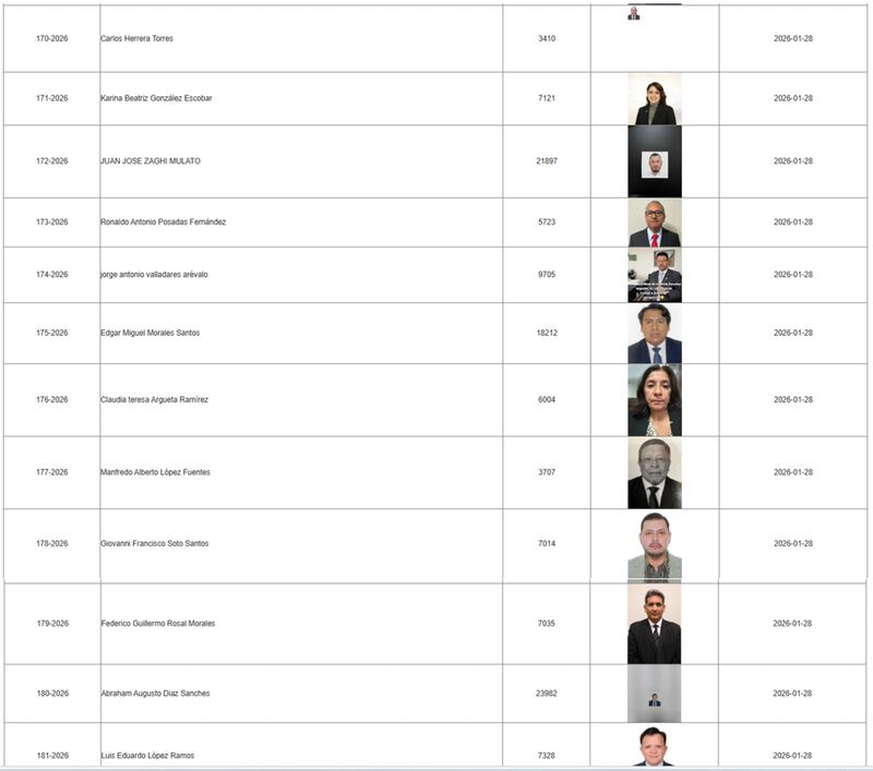 Listado de los candidatos en la postuladora del TSE.