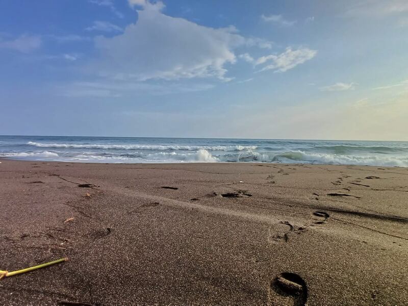 Monterrico: La zona costera que invita a conquistar las olas con maniobras de surf y otras actividades acuáticas