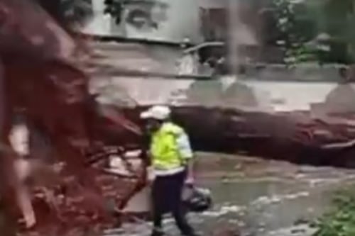 VIDEO. Carriles totalmente bloqueados en la avenida Hincapié por caída de árbol